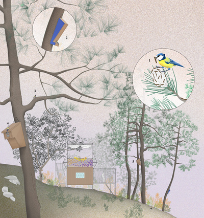 Cabaña del (sinantro)amor