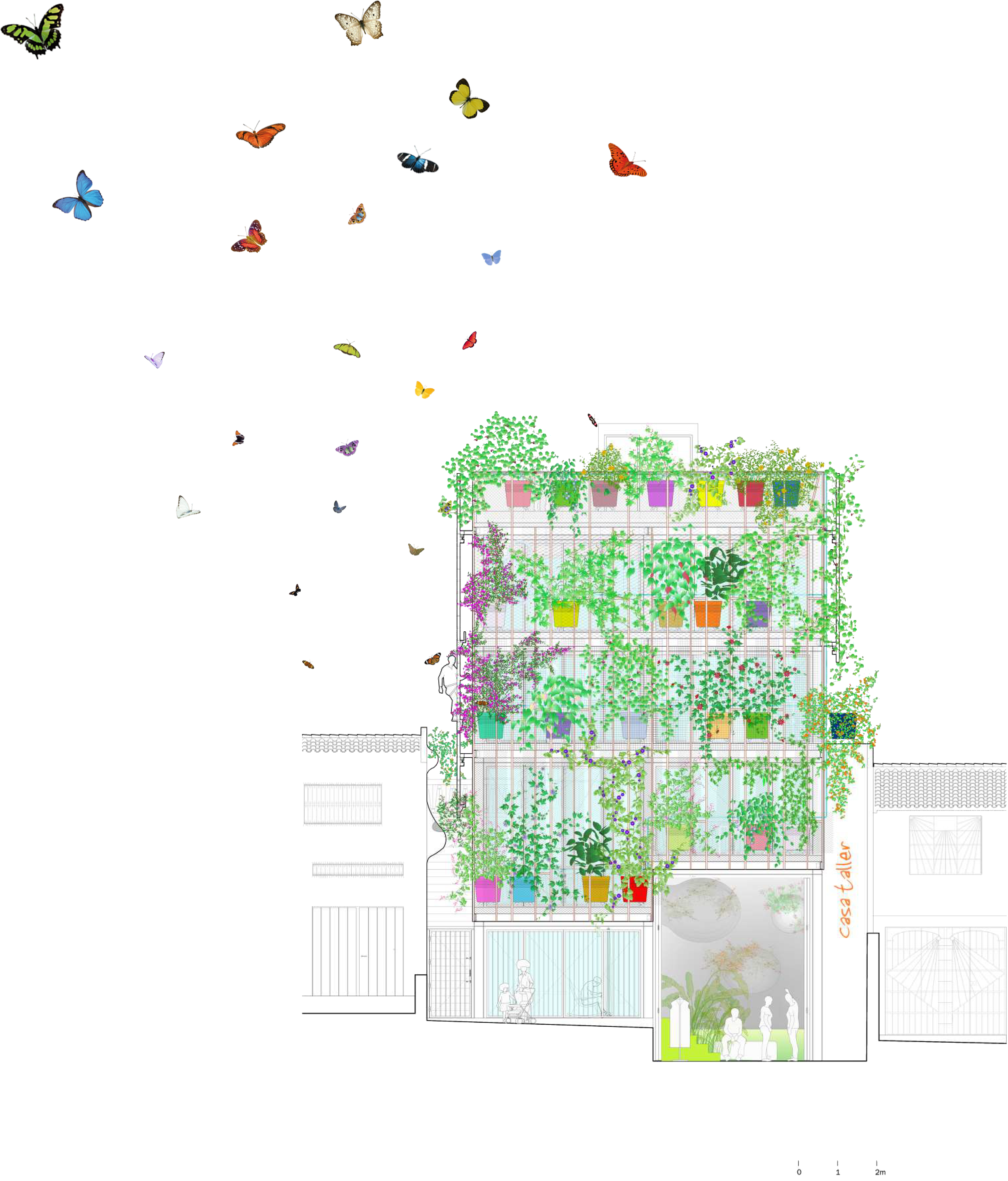 Edificio jardín hospedero y nectarífero para mariposas de Cali