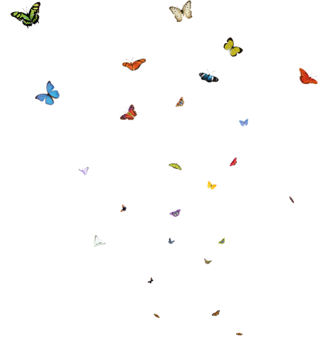 Host and Nectar Garden Building and other Micro Communal Gardening Actions