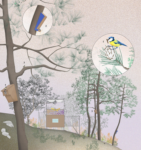 Cabaña del (sinantro)amor